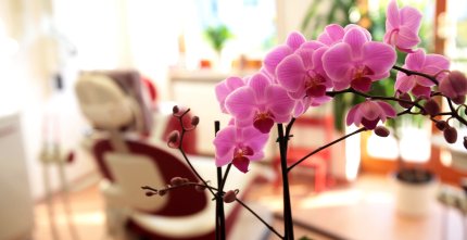 Wohlf&uuml;hlatmosph&auml;re