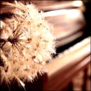 Wohlf&uuml;hlambiente bei  Dr. Micke